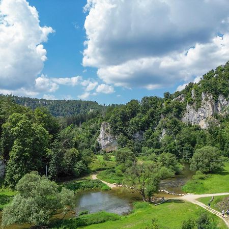 Gasthaus Jaegerhaus Fridingen an der Donau ภายนอก รูปภาพ